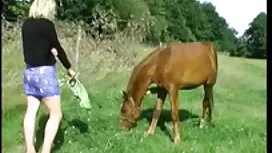 مشعرات, شرجي, مقاطع  ...