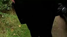 شقراء الشعر افلام رو ...