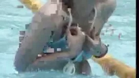 الجنس مقاطع جنس مجان ...