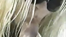 صديقها, نحيل في سن ا ...