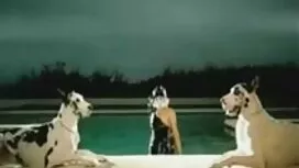 أحب افلام جنس ممتعه  ...