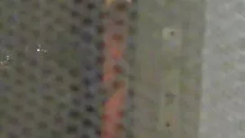 جدا افلام سكس جنس نا ...
