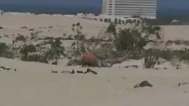 فتاة جميلة افلام جنس ...