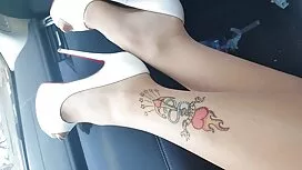الحمار كبيرة على الك ...